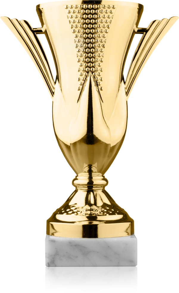Golden Trophy Cup Award